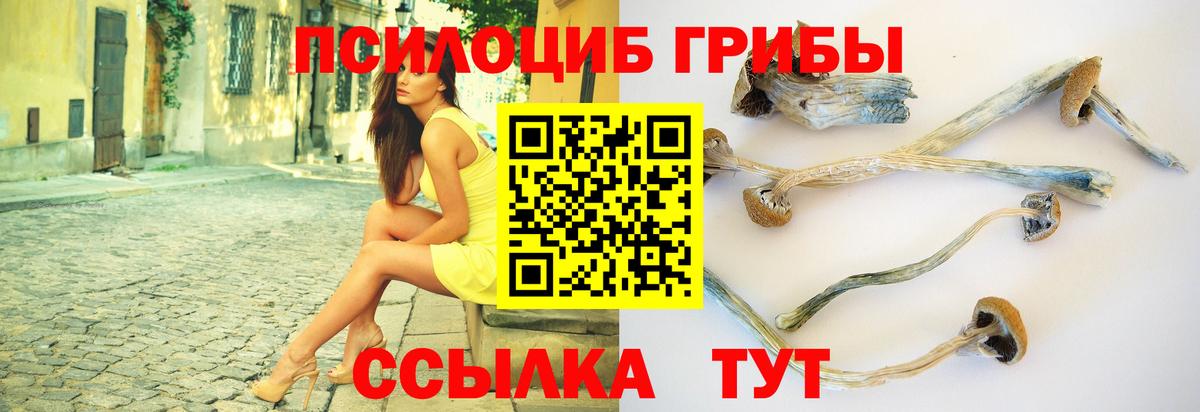 Галлюциногенные грибы Psilocybe  Вход с VPN  Обь  Псилоцибиновые грибы Psilocybine cubensis 